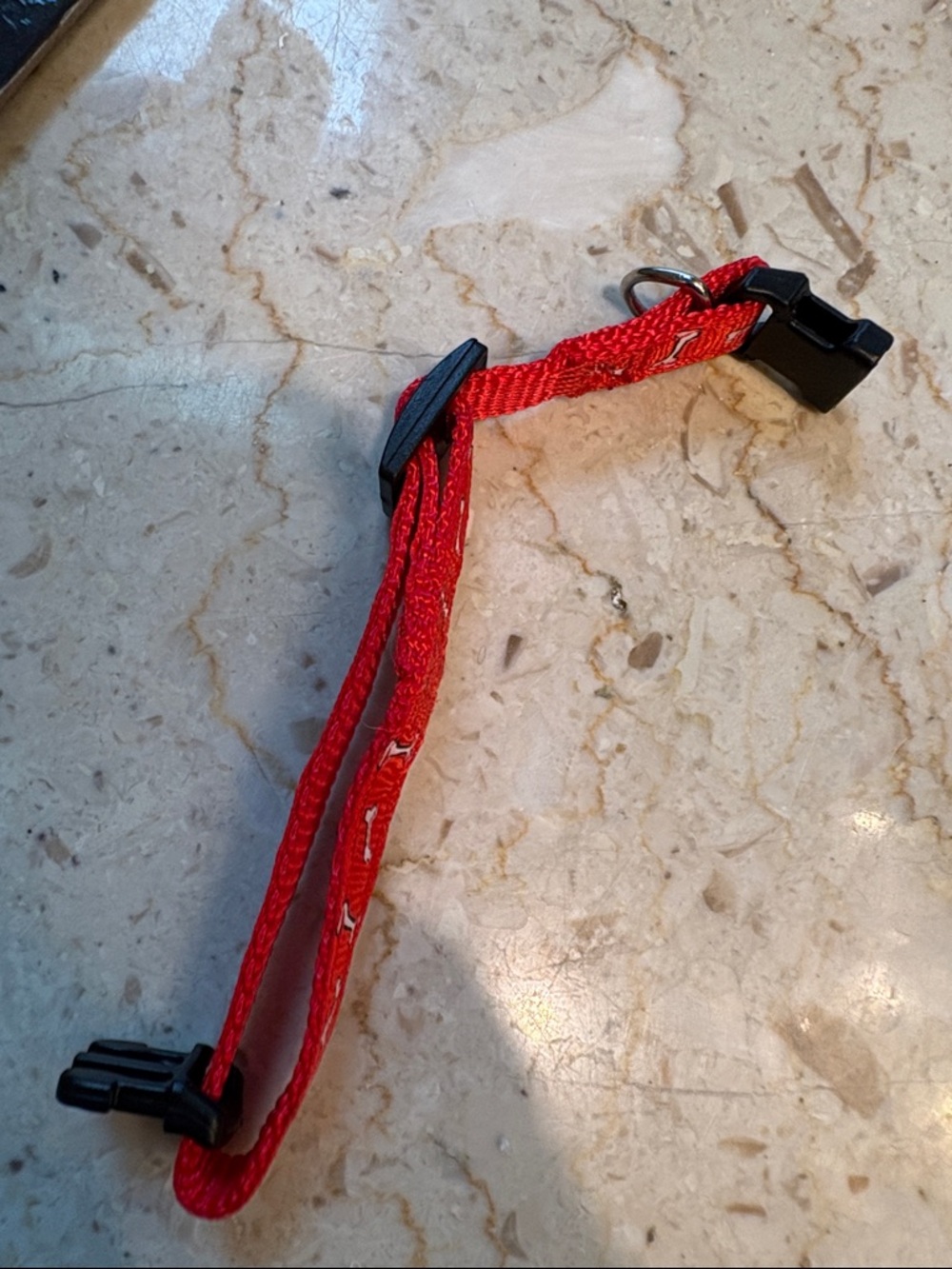 NWT 2-Adjustable Toy Dog Collars - Red & Black Bone Pattern - Picture 8 of 16